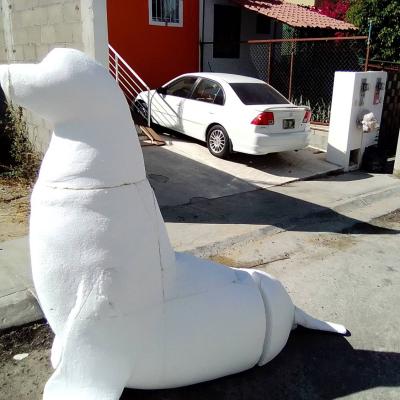Sea.lion.5