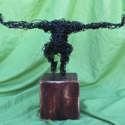 016escultura En Alambre